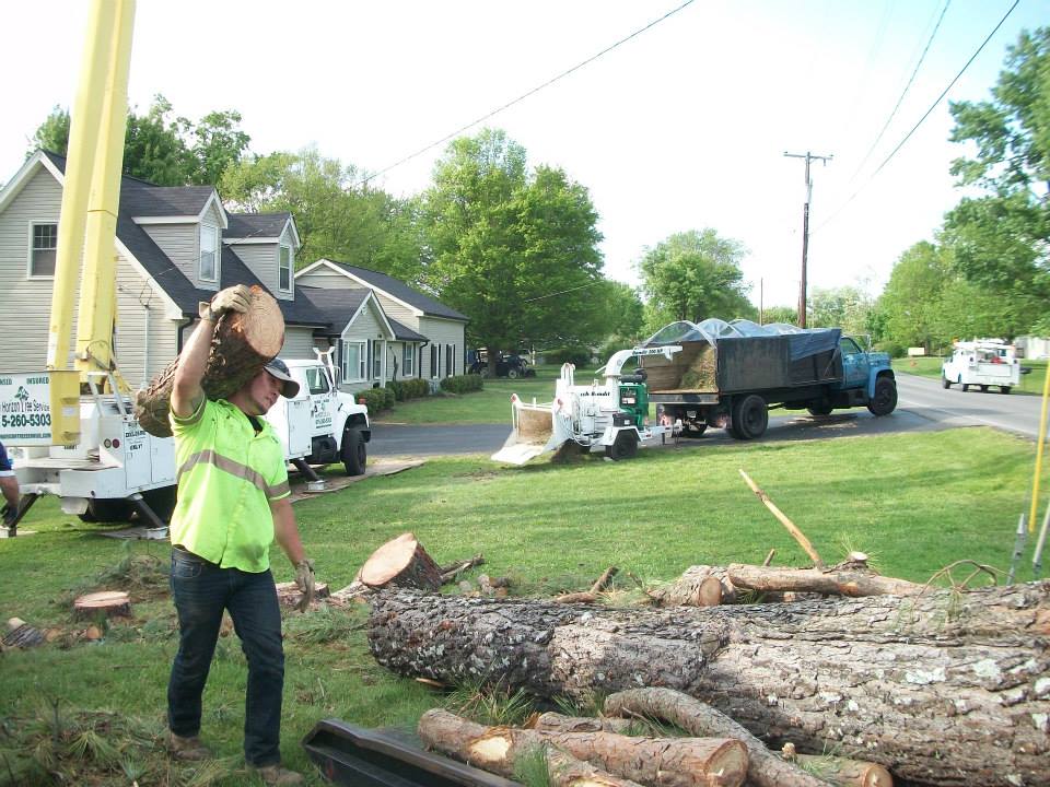 stump removal