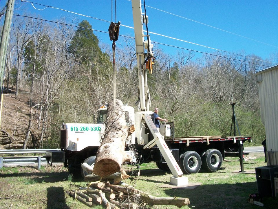 tree removal