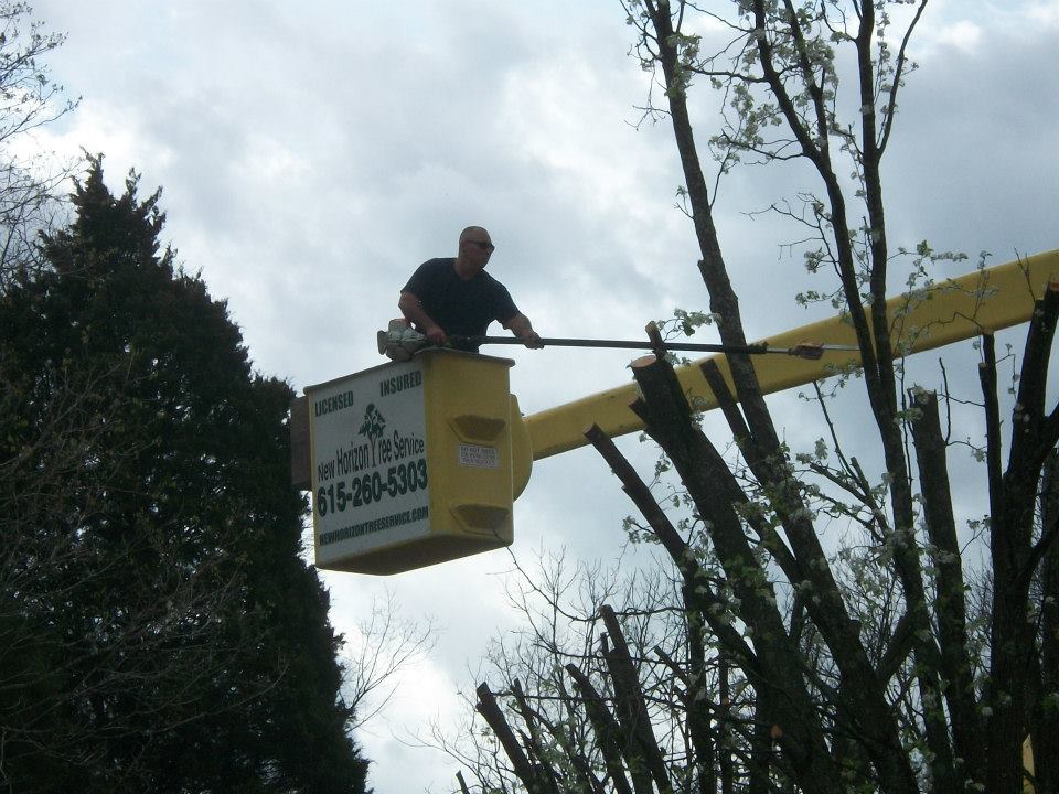 tree pruning